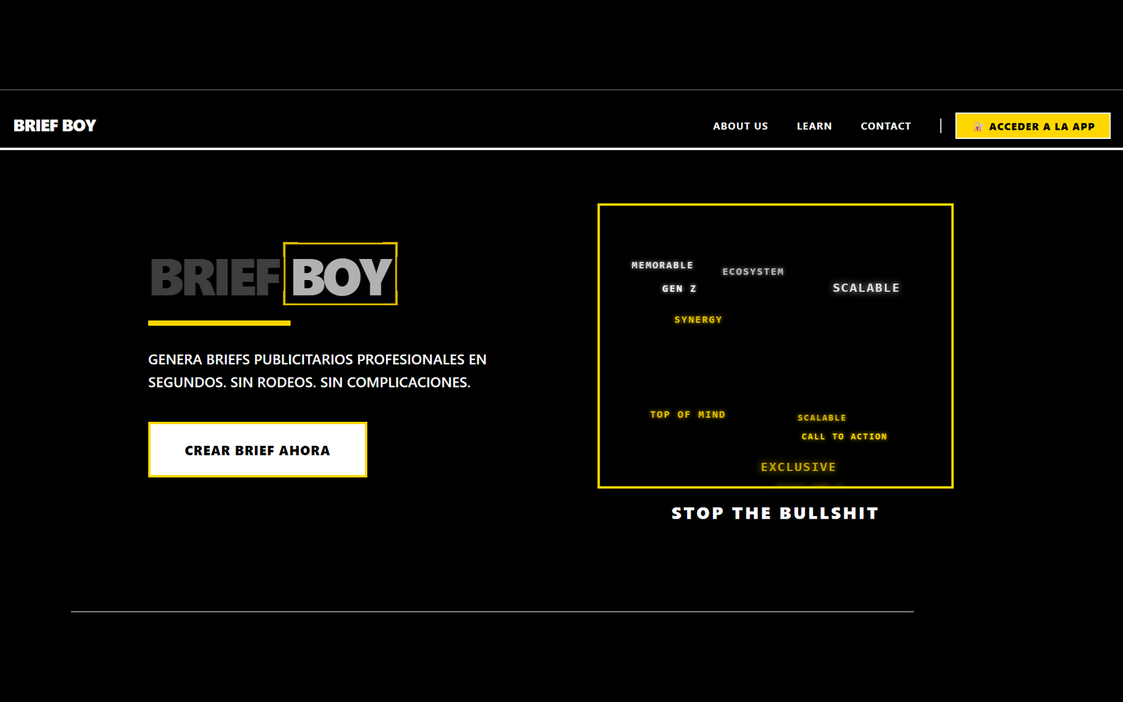 BriefBoy